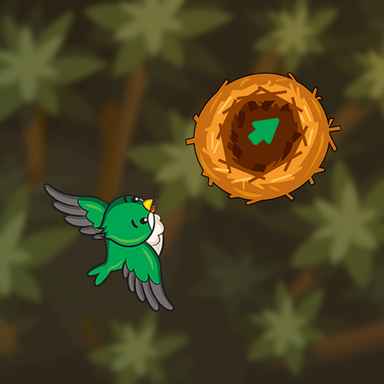 FreezeNova Draw The Bird Path FreezeNova Draw The Bird Path